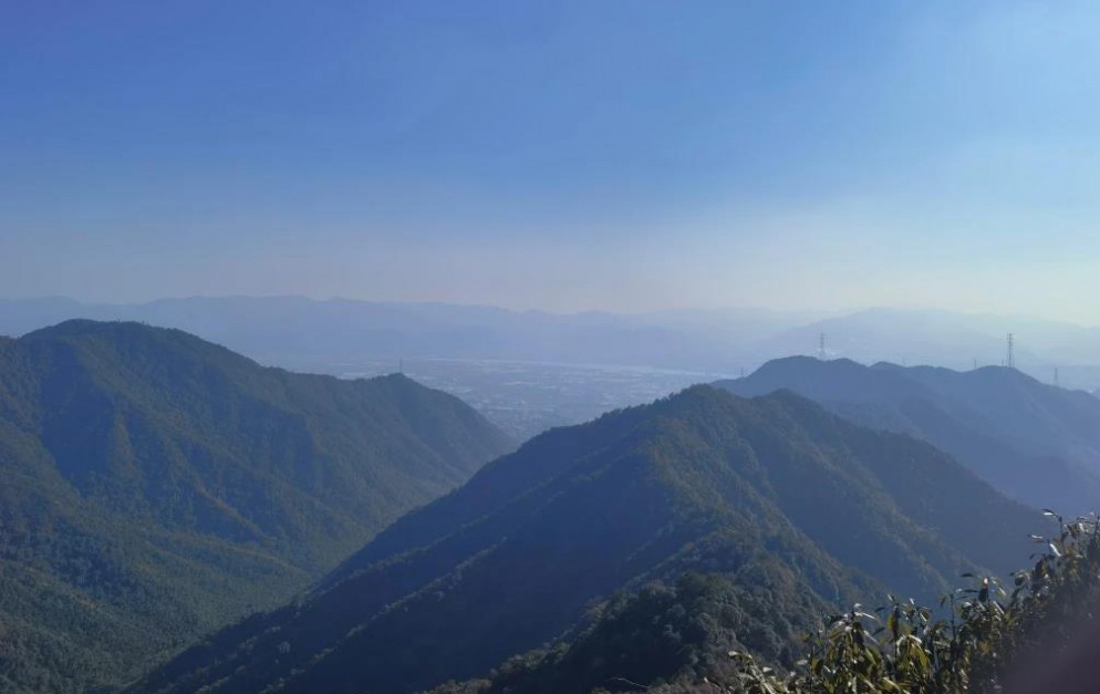 PA�콢��(�й���)�ٷ���վ-PlayAce