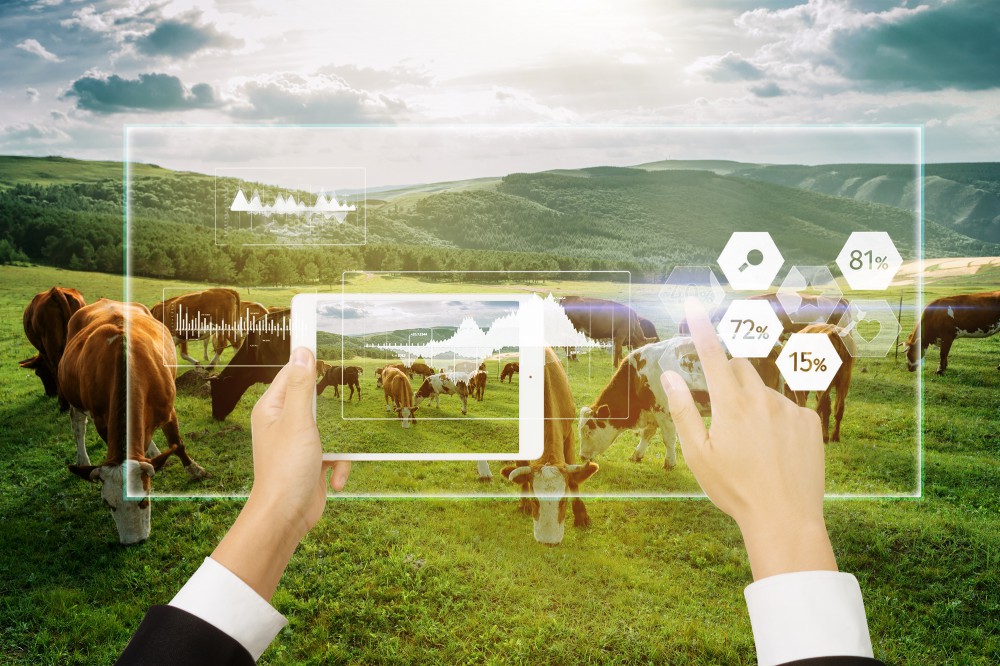 PA�콢��(�й���)�ٷ���վ-PlayAce